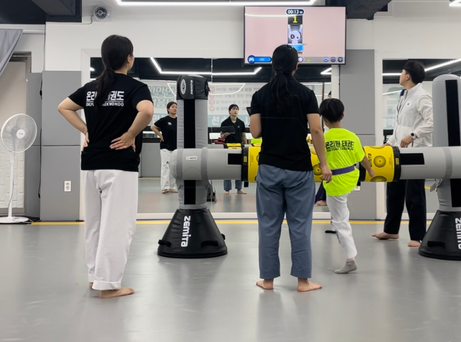 [인턴십 심화] 인턴십 수행(태권도장)